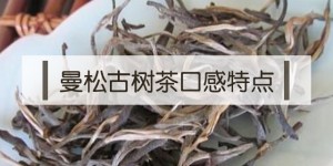 2020年曼松古樹(shù)茶特點(diǎn)