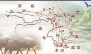 普洱茶文化之魂“茶馬古道”