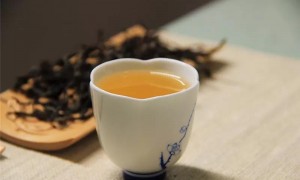 “茶無完茶”每款茶應有一個缺點！