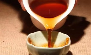 普洱茶，回歸消費與飲品屬性才是正途