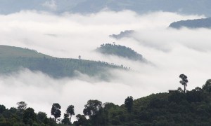 不知道這個？還敢說你懂普洱茶嗎？